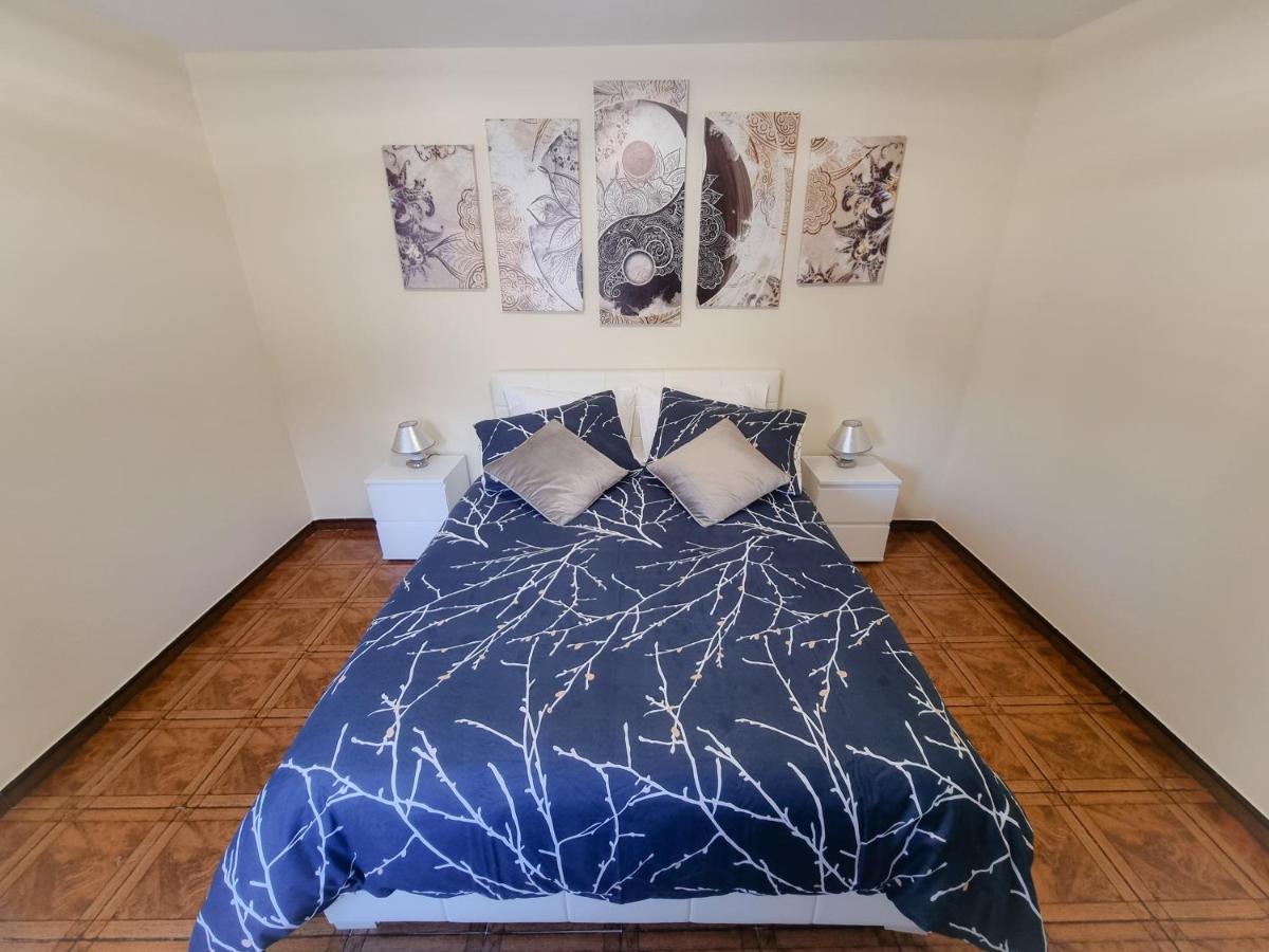 Cozy House In Central Sanatana, Near Top Hiking Trails And Levadas, Pico Ruivo 桑塔纳 外观 照片